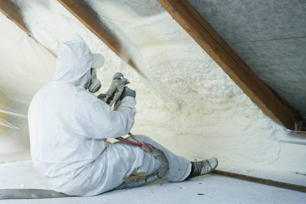 Best Pipe and Duct Insulation in Palmer Ranch, FL